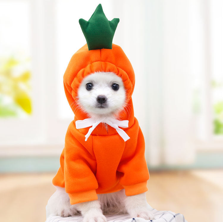 Cute Fruit Dog Hoodies Outfit