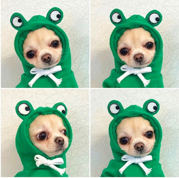 Cute Fruit Dog Hoodies Outfit