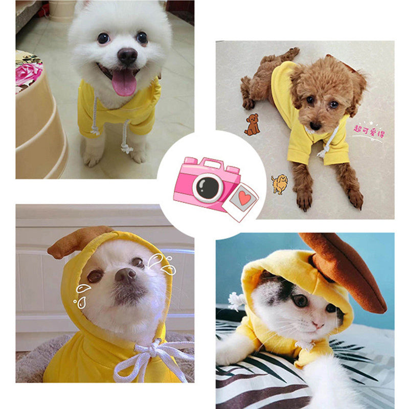 Cute Fruit Dog Hoodies Outfit