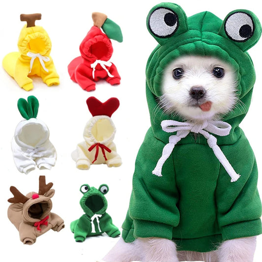 Cute Fruit Dog Hoodies Outfit