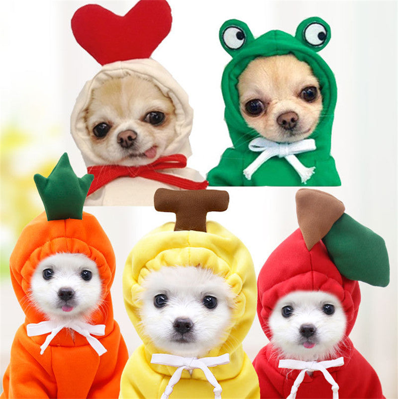 Cute Fruit Dog Hoodies Outfit