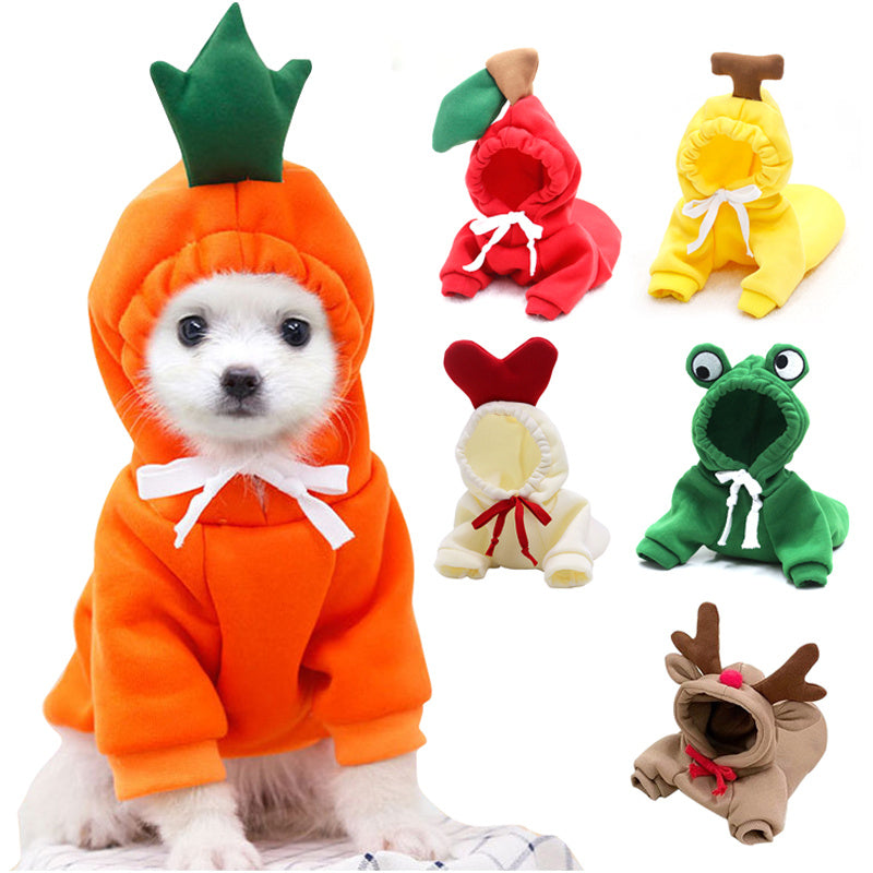 Cute Fruit Dog Hoodies Outfit